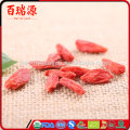 Neue Corp Bulk Goji Beeren getrocknete Goji Beere Goji Beere mit aus Sulpher